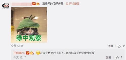 忍无可忍爆料视频下载,揭秘惊人内幕，真相令人震惊！